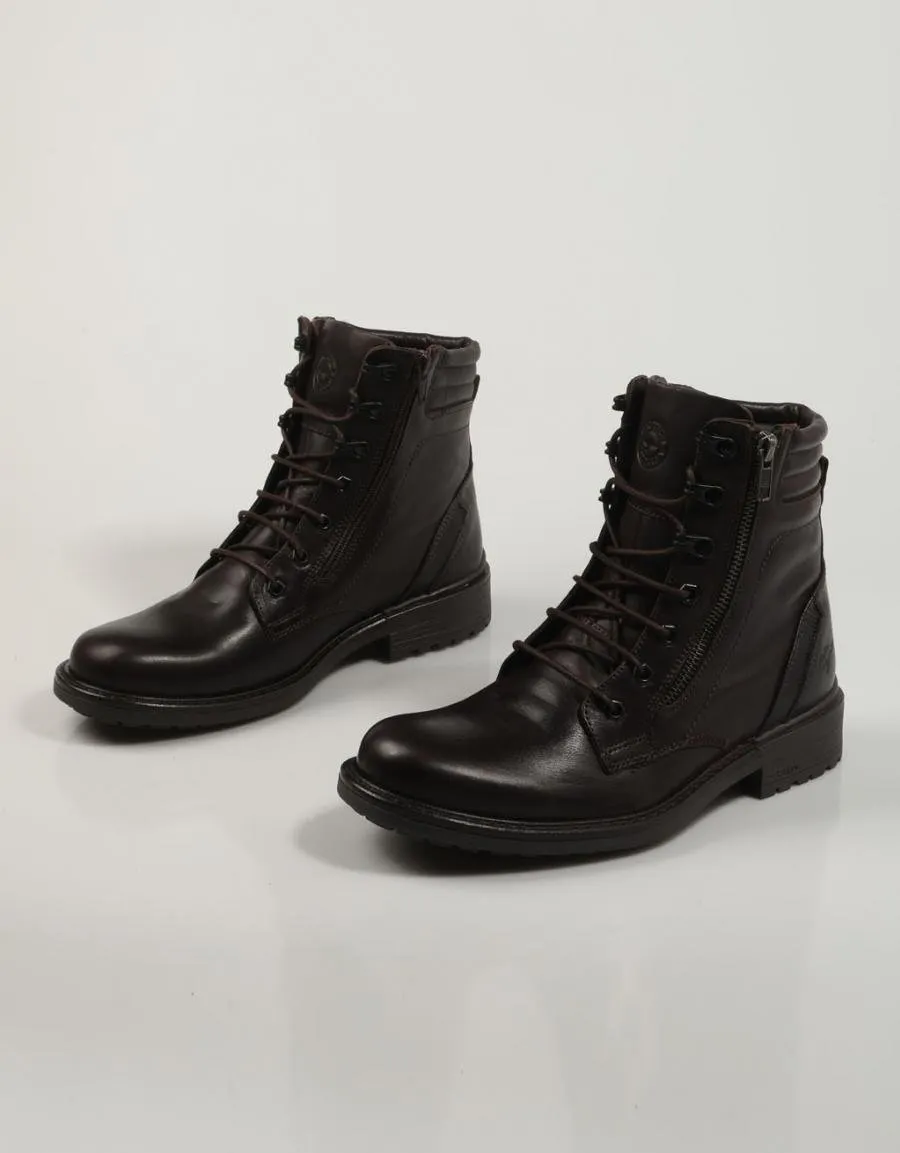  botins KANGAROOS 496 en Castanho 82958