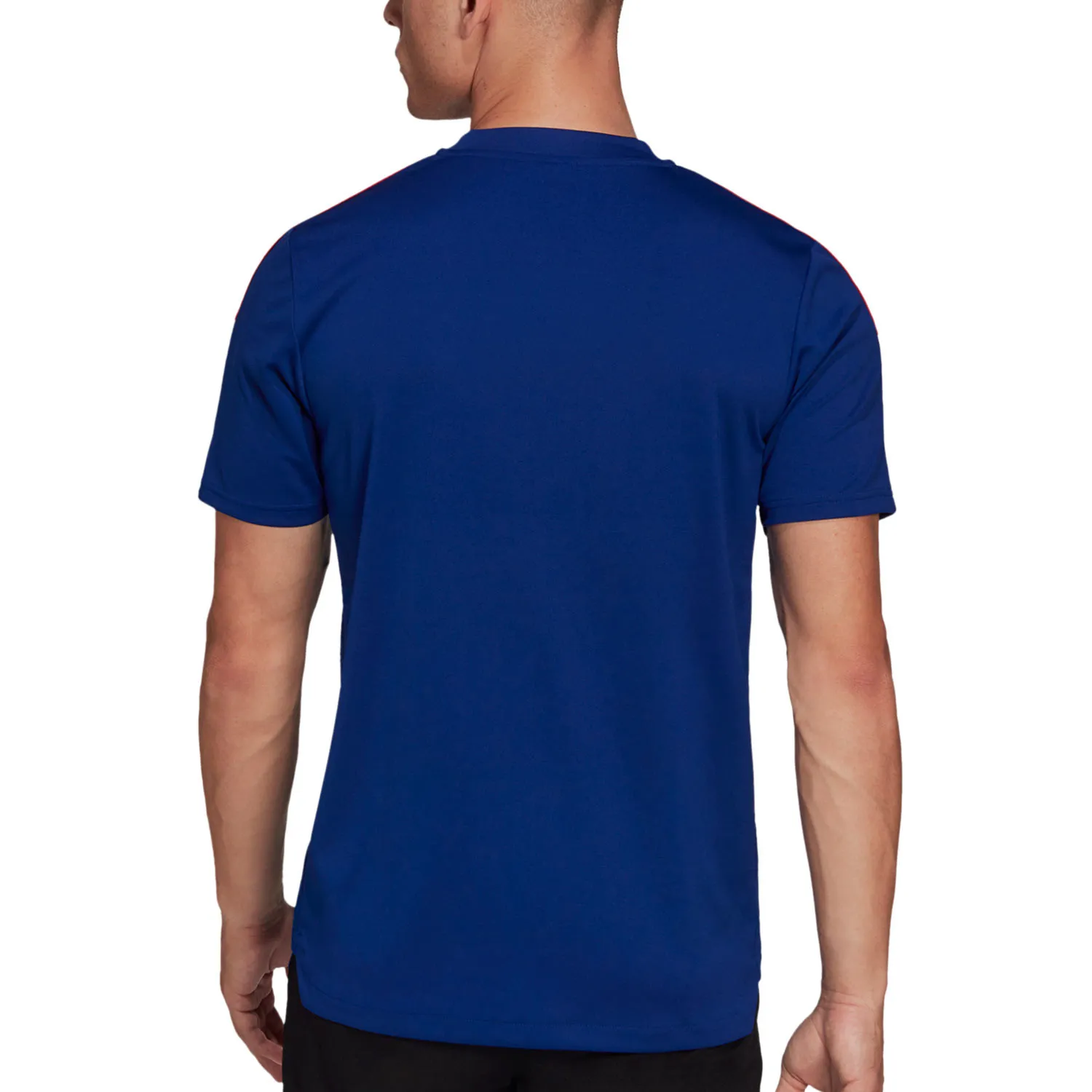 Camiseta adidas Bayern entrenamiento
