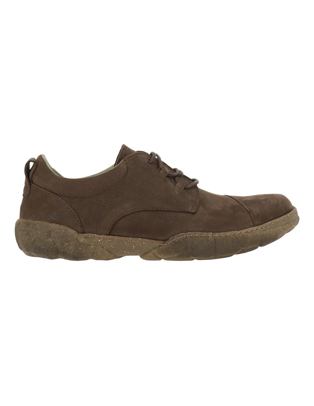 El Naturalista N5089 TURTLE