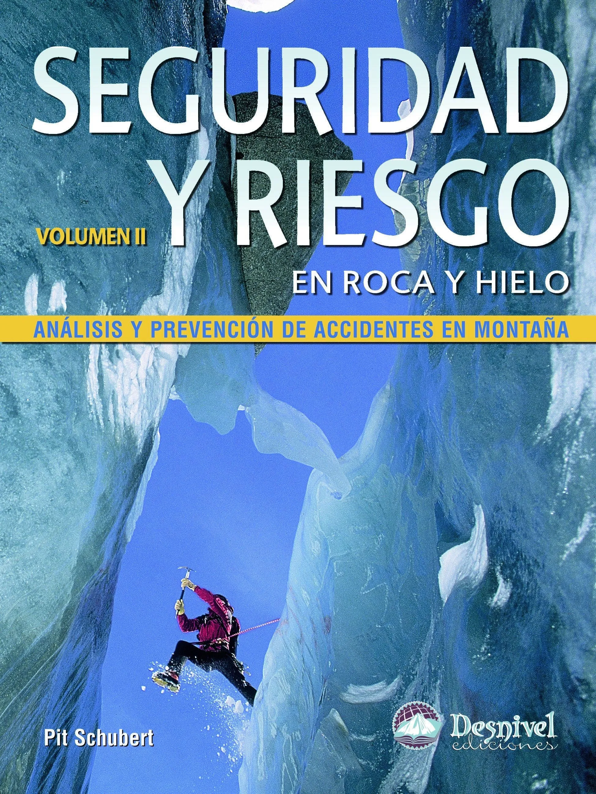 Seguridad Y Riesgo V