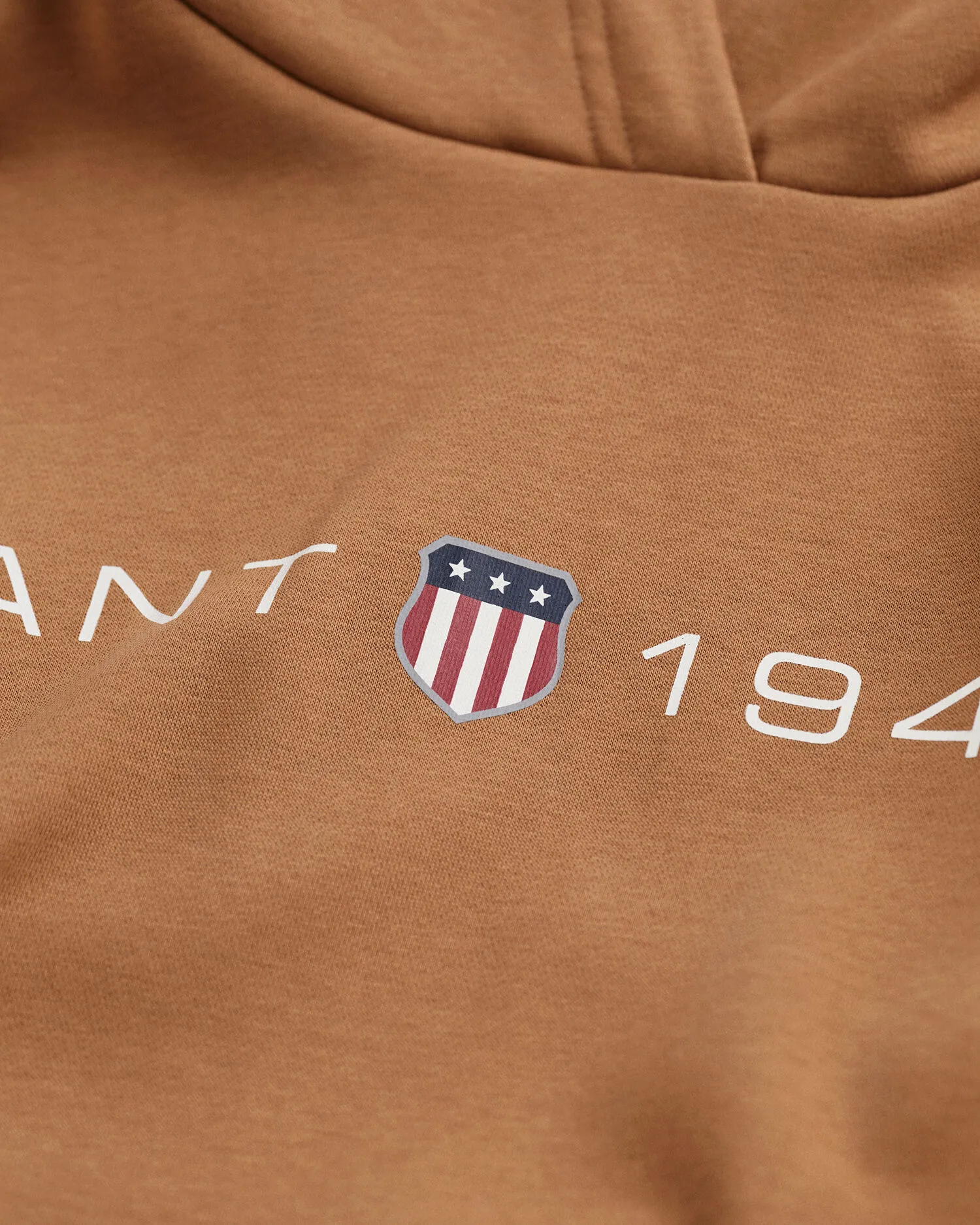 Sudadera con capucha estampada Archive Shield